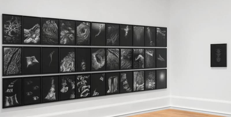 Javier Pérez at Bilbao Fine Arts Museum (SP)