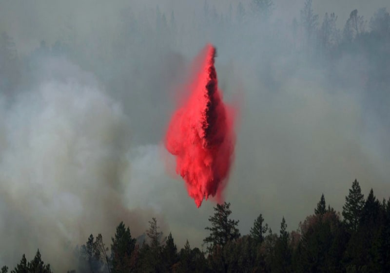 Anna Vogel at DZ-Bank Kunststiftung, Frankfurt (DE)