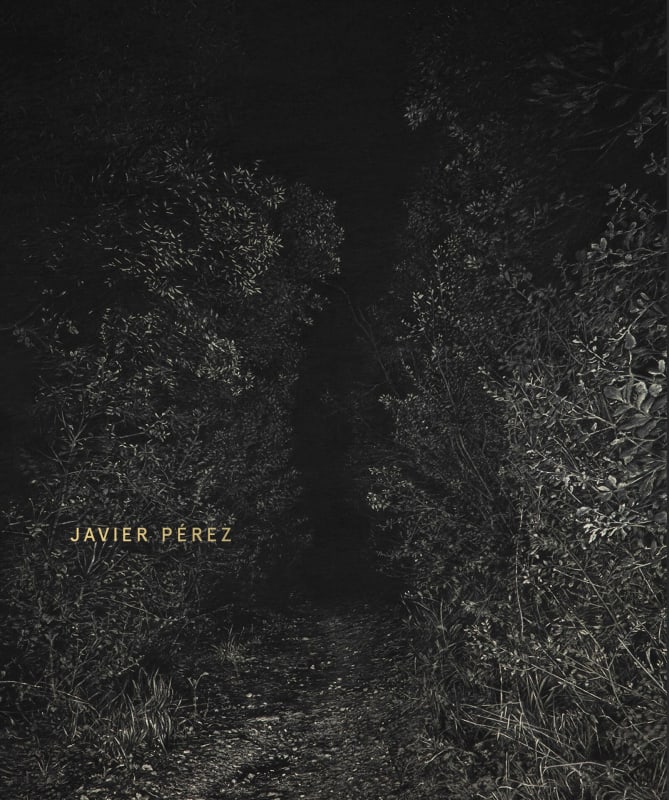 Javier Pérez, presence absence
