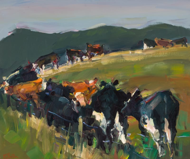 James Fullarton Cattle by Gass Farm Oil on board 20 x 24 "