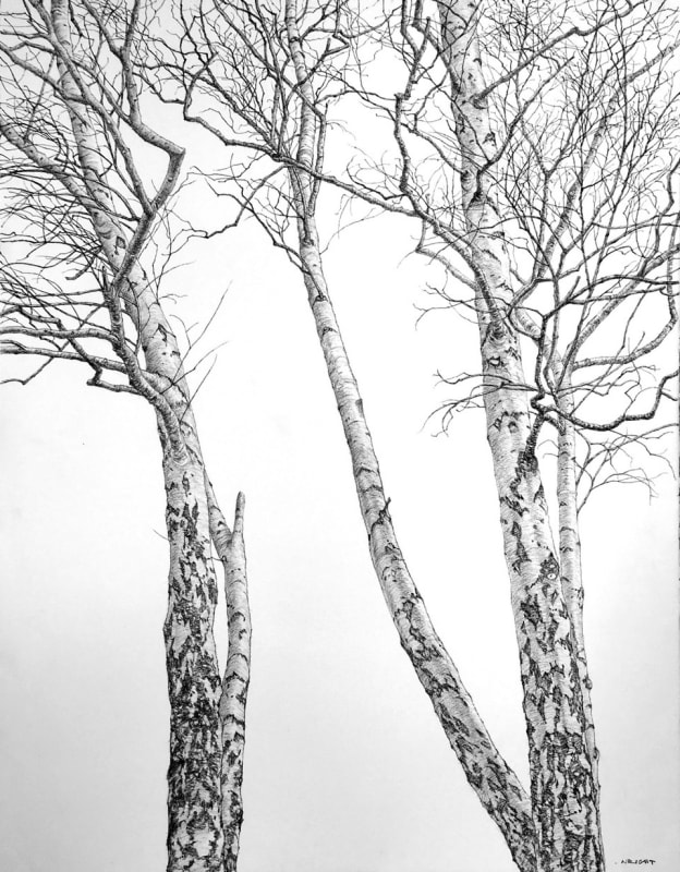 Roy Wright PS A Bright Winter Day Charcoal on paper 34 x 26