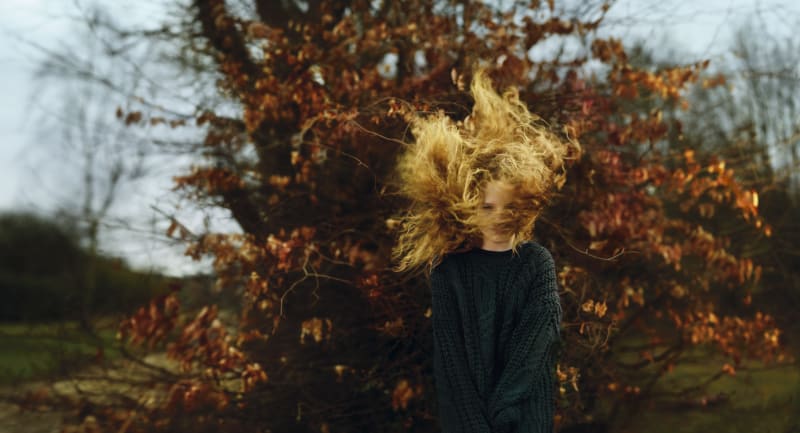 Haarlem - wies, 2016