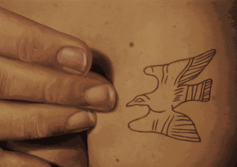 Jérémie Cosimi, Le gabian, 2025