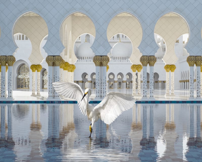 Karen Knorr, The Way of Ishq, 2019