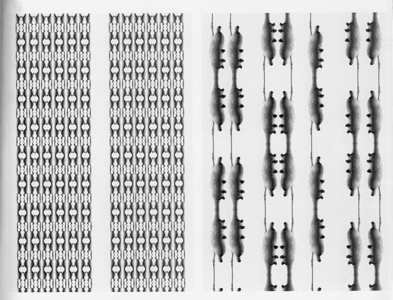 François Daireaux - un certain nombre