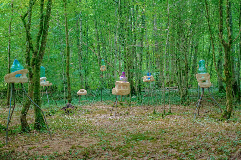 View of the exhibition Les vilains visibles, Charlie Jouan, Vent des Forêts, communal forest of Nicey-sur-Aire