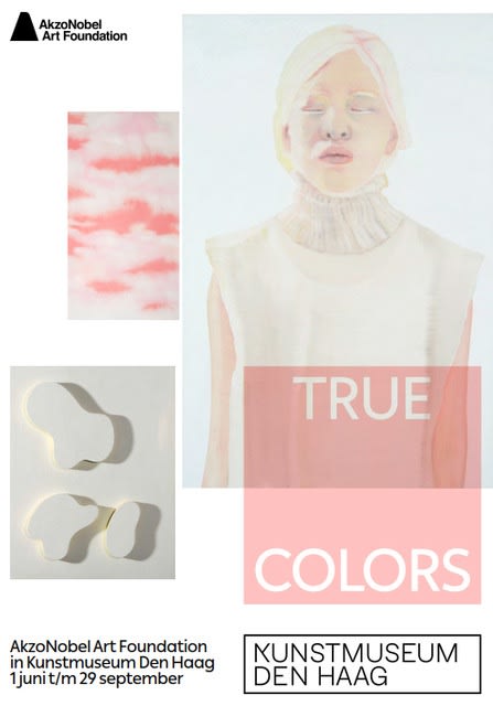 True colors, KUNSTMUSEUM DEN HAAG, PAYS-BAS