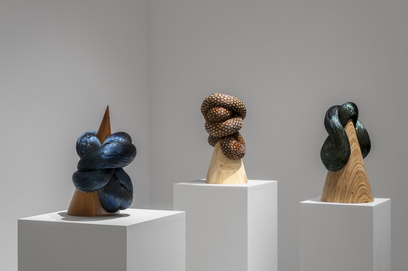 Vue de l’exposition GLITCH, exposition personnelle de l’artiste Kate MccGwire