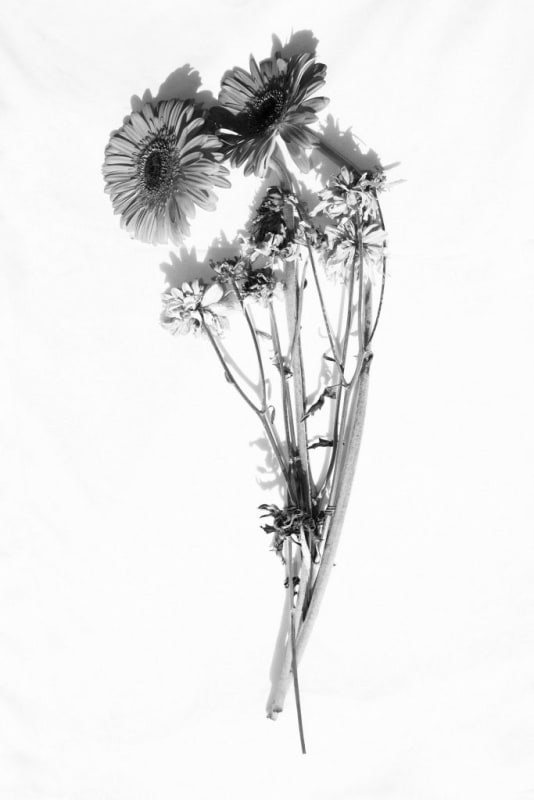 Laia Abril, Feminicides, 2025