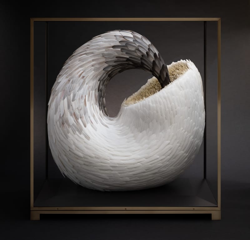 Kate MccGwire, Quell, 2011