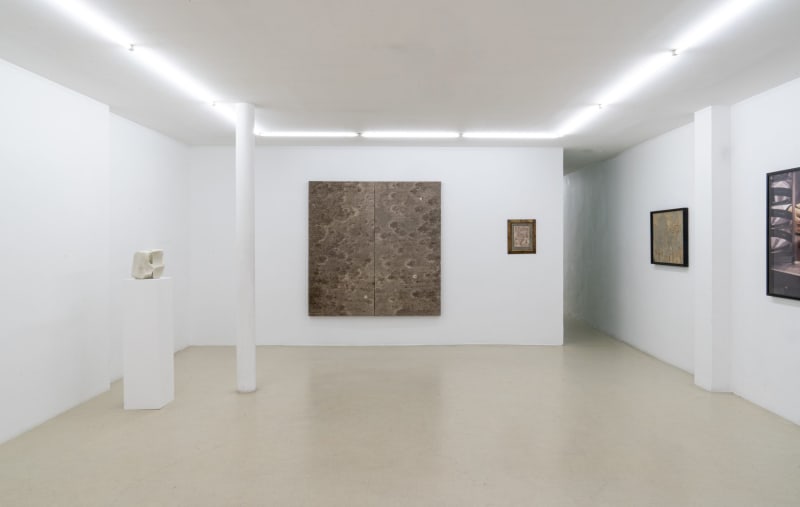 Renaissance sauvage : la perspective symbiotique