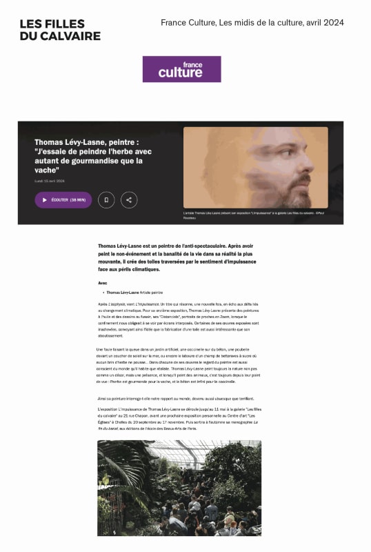 Thomas Lévy-Lasne | France Culture