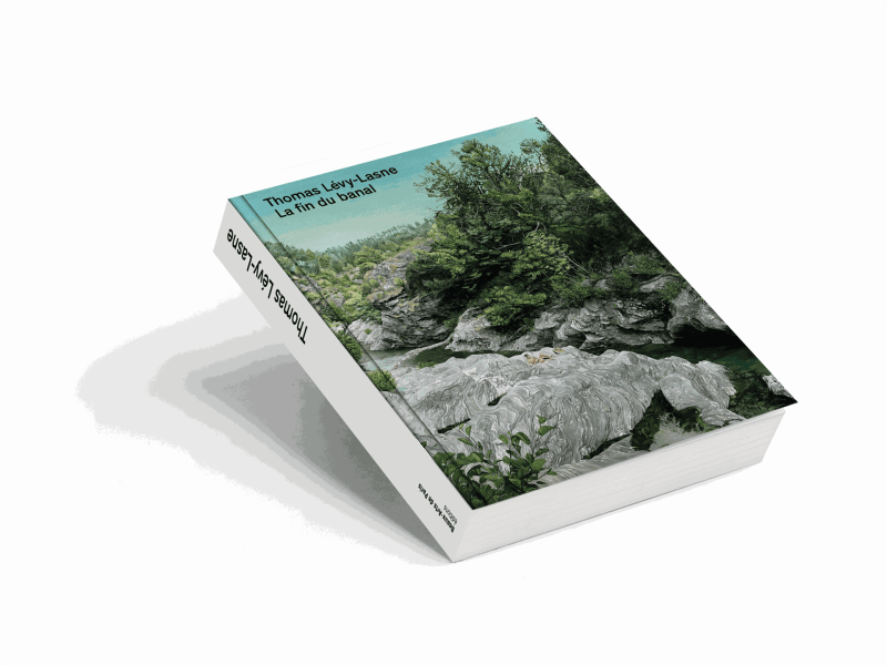 La fin du banal, Thomas Lévy-Lasne , Chez Beaux-Arts de Paris éditions
