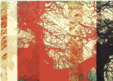 The AIPAD Photography Show, NY, 2016