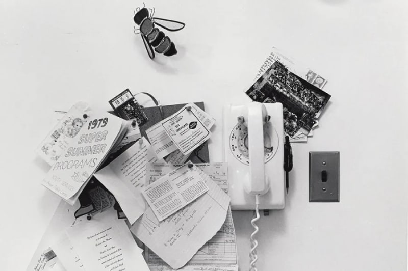 The Everyday Radicalism of Joanne Leonard | Apollo