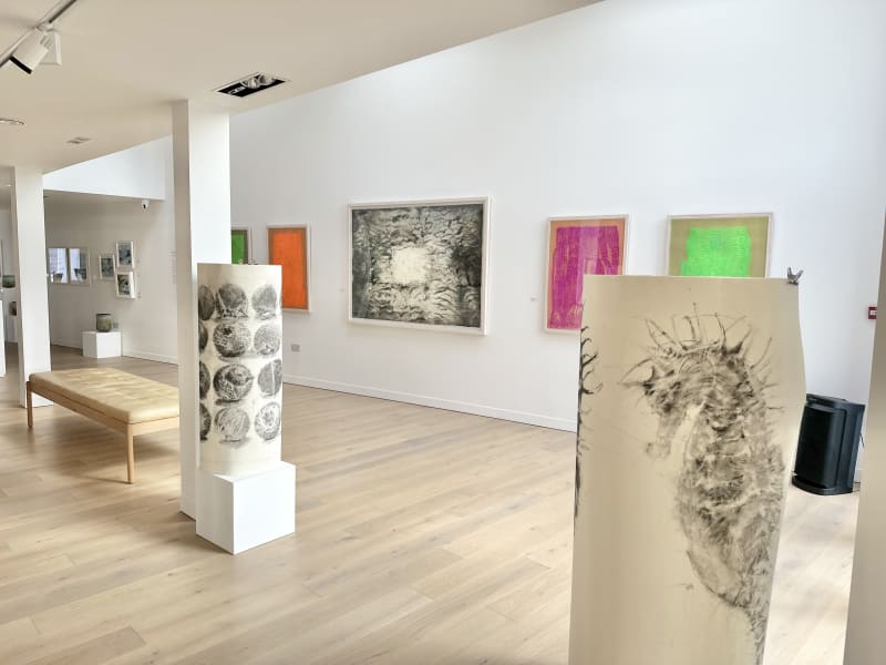 Frances Gynn RWA, Disappearing Marks