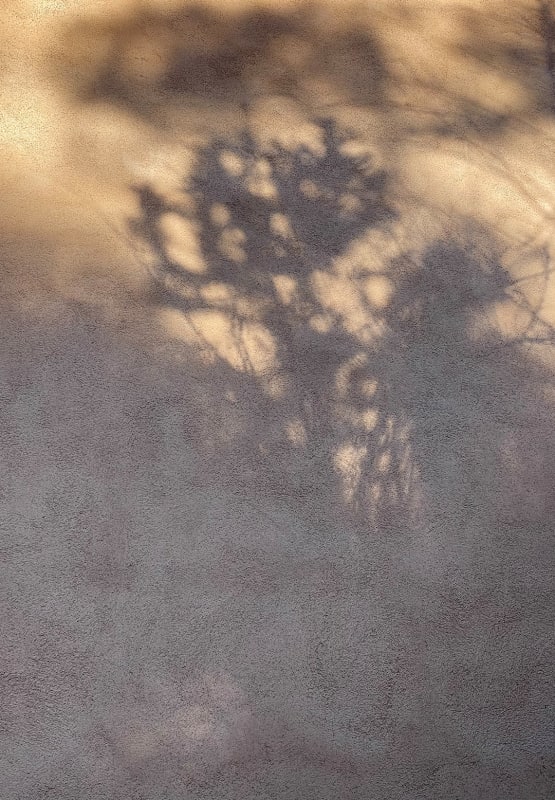 © Jessie Chaney, A Longing