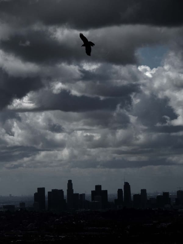 Grand Prize Winner © Michele Castagnetti, Los Angeles Storm
