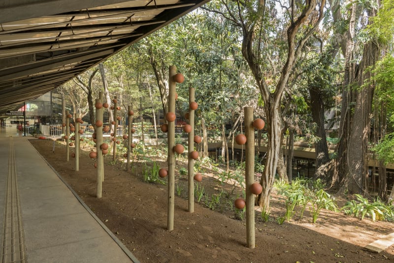 Brotos de ondas germinantes, Centro Cultural São Paulo – CCSP