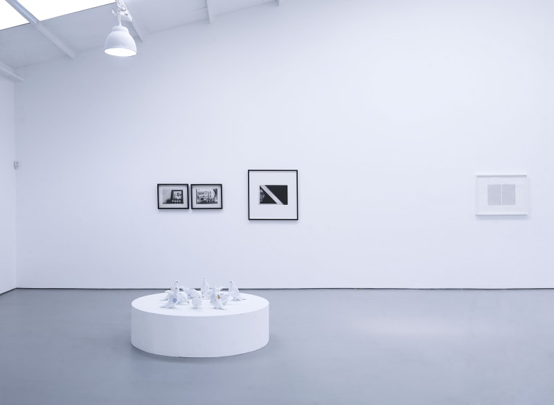 Ver Versus Ver, Sabrina Amrani Gallery - Madrid