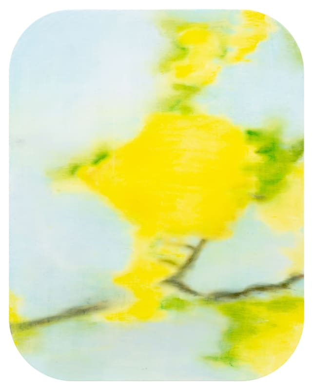 Li Shih-Wen: Into The…