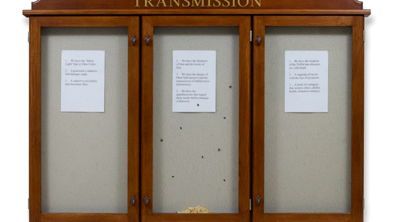 Hamad Butt, ‘Fly-Piece’ from Transmission 1990 (reconstructed in 2024). Wall-mounted wood and glass vitrine, goldpaint, paper, live flies, 1670×1064×92mm. Collection Irish Museum of Modern Art. Donation, Jamal Butt, 2024. Image © Jamal Butt