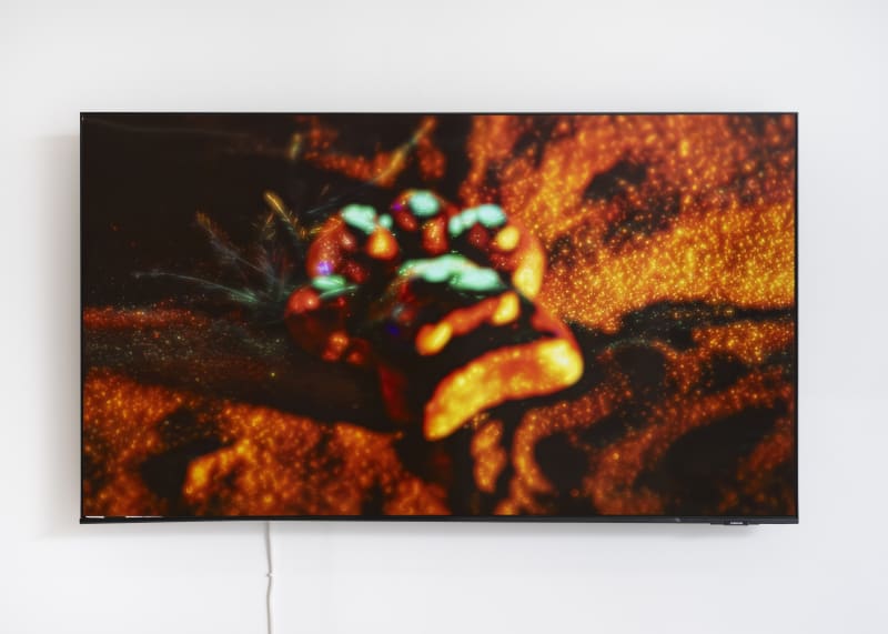 Jala Wahid 'I Love Ancient Baby' at Lafayette Anticipations