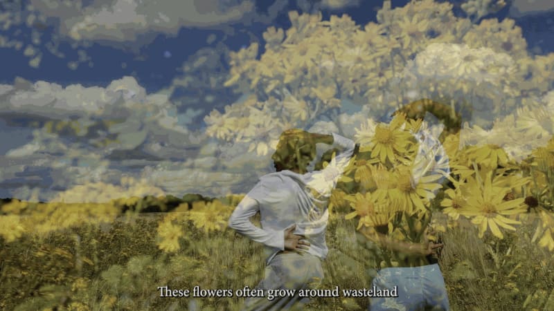 'Back to Earth' at Serpentine Galleries, London