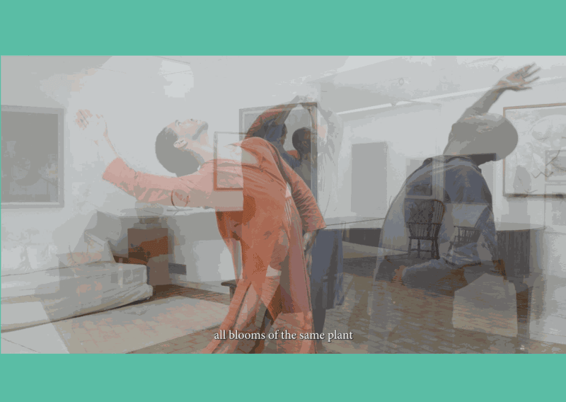 Adham Faramawy at Kettle's Yard, Cambridge