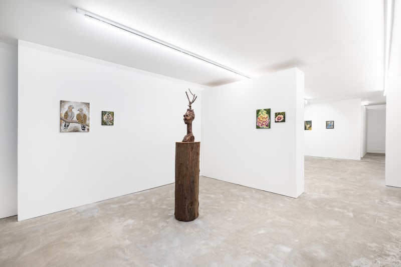 Adham Faramawy in The Standard , Everything to see and do