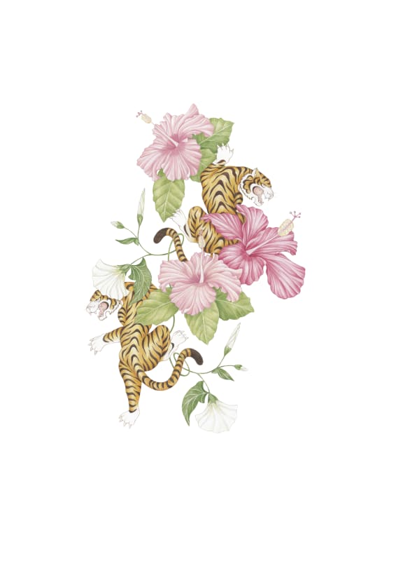 Tabatha Forbes, Hibiscus, Tyger Tyger, watercolour on paper, 600x450mm, 2023.