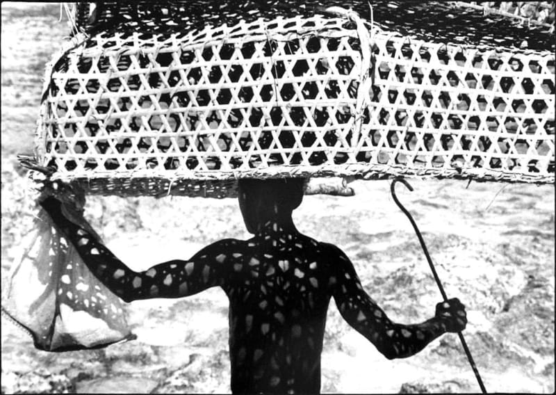 akka project, contemporary african art, africa, emerging, venezia, dubai, photography, moira forjaz, mozambique