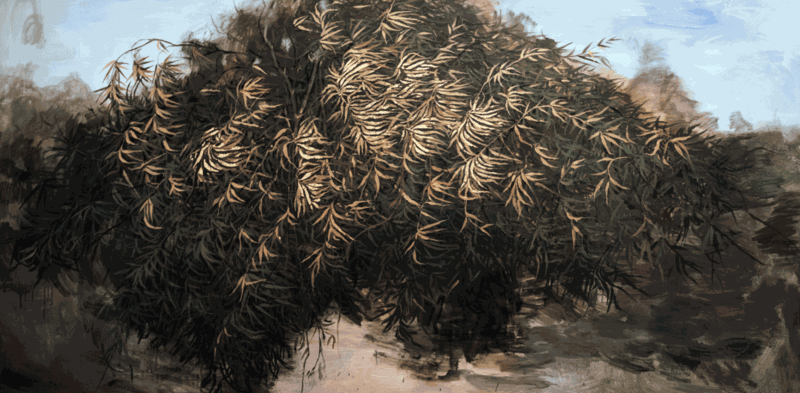 Emad Ibrahim, Untitled