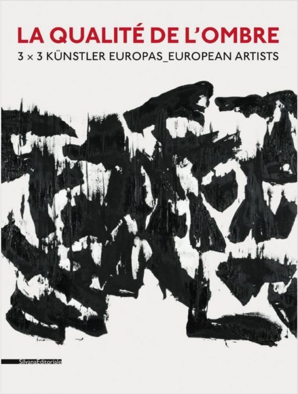 La qualité de l’ombre, “3 × 3 European Artists”, Ludwig Museum im Deutschherrenhaus, Koblenz