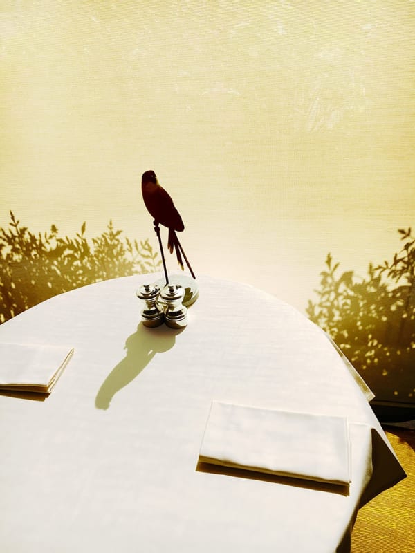 Philipp Keel, Early Bird, 2021