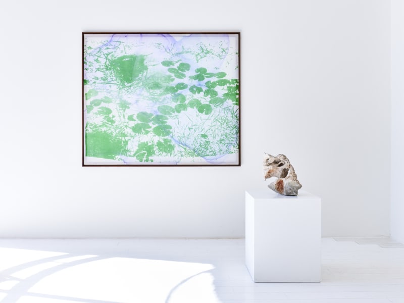 DOUGLAS MANDRY – LES ARCHIVES DE LA PLANÈTE, ZURICH