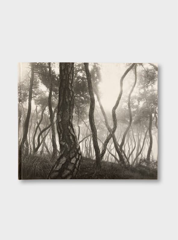 Bae, Bien-U: Sacred Wood, 350 CHF