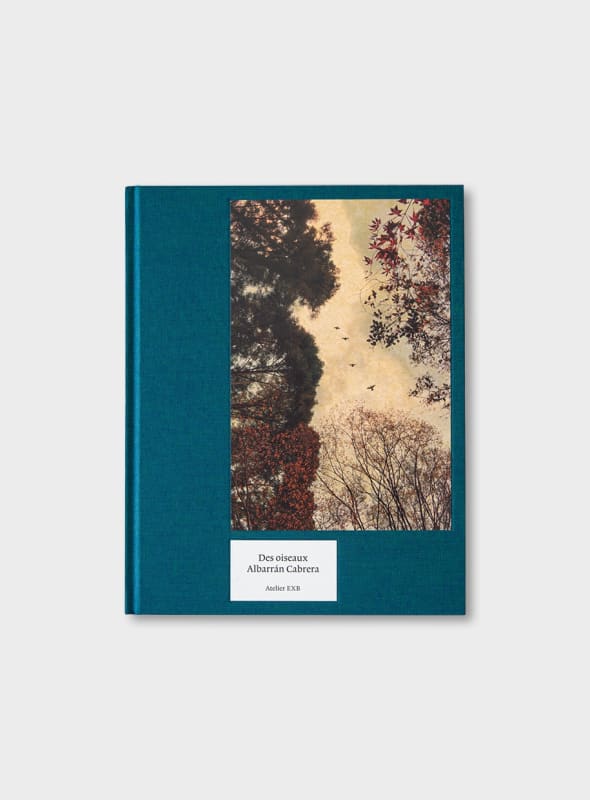 Albarrán Cabrera, Des Oiseaux, 2020