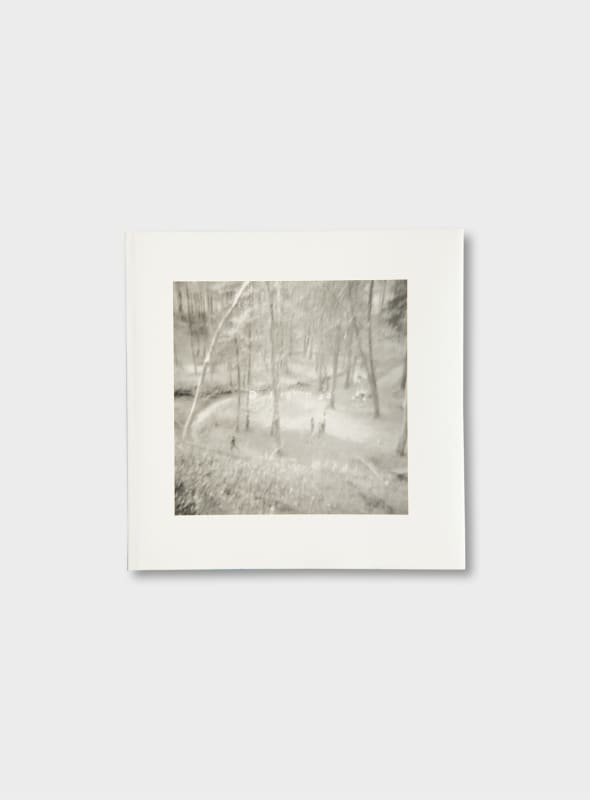 Simone Kappeler, Diana, 1995