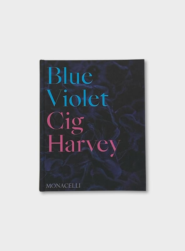 Cig Harvey, Blue Violet, 2021
