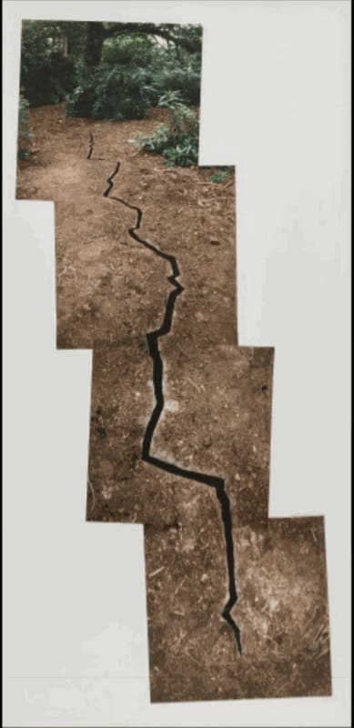 Andy Goldsworthy