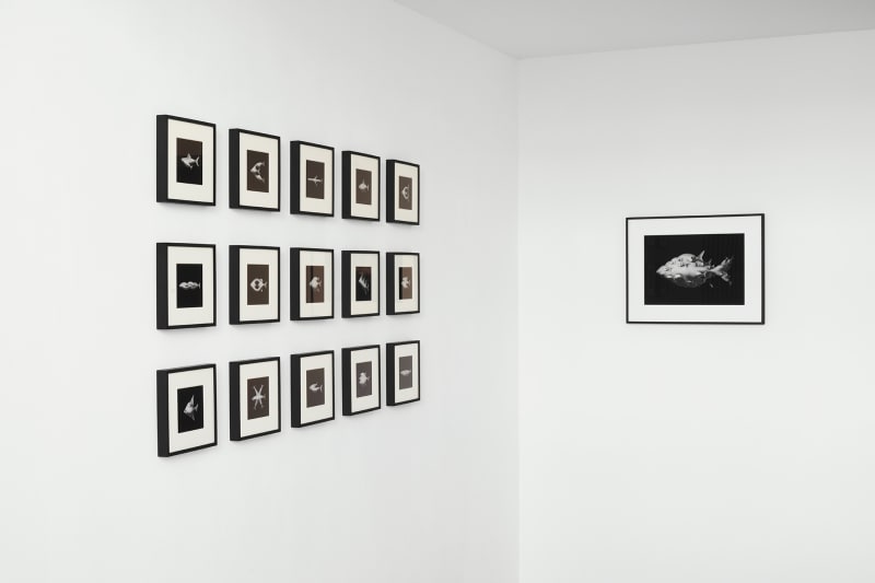 [COLOGNE] SHIFTING MOMENTS, Jiha Jeon, Hyeseon Jeong, Sooyeun Lee, Hanna Noh, Hye Young Sin, Seongmin Yuk