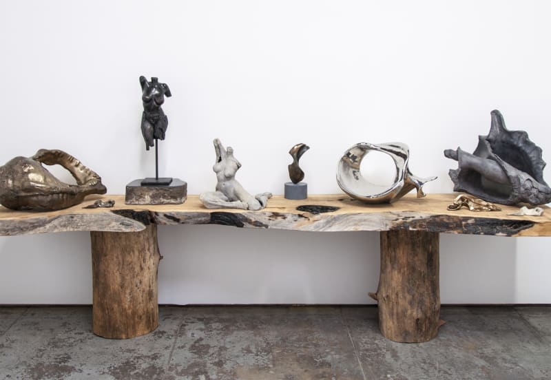 Lianne Barnes, Nature of Things