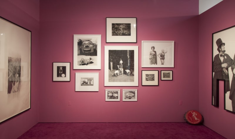 REALLY?, Curated by Beth Rudin DeWoody