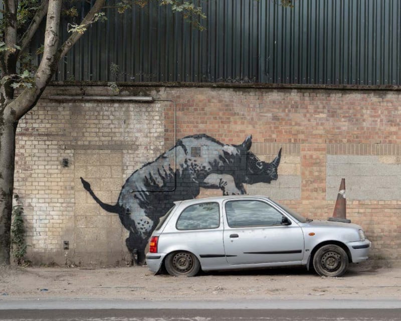 Day 8 - Rhinoceros (August 12, 2024)