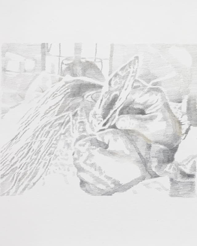 Signe Ralkov | Hold still, Opening Thursday 30 October 5–8PM