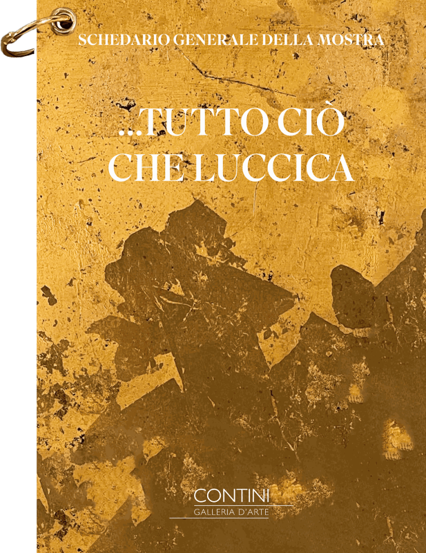 ...tutto ciò che luccica, Schedario generale della mostra