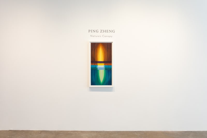 PING ZHENG, NATURE'S CANOPY