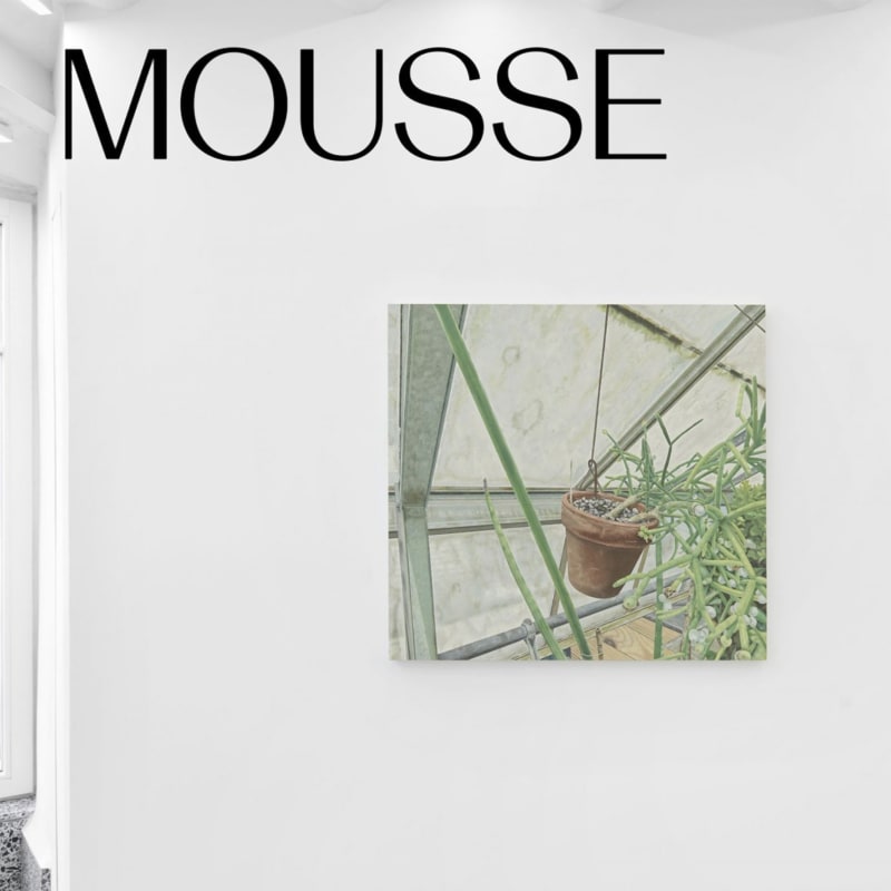 Michael Cline “Above and Below” at Nino Mier Gallery, Brussels, 2022