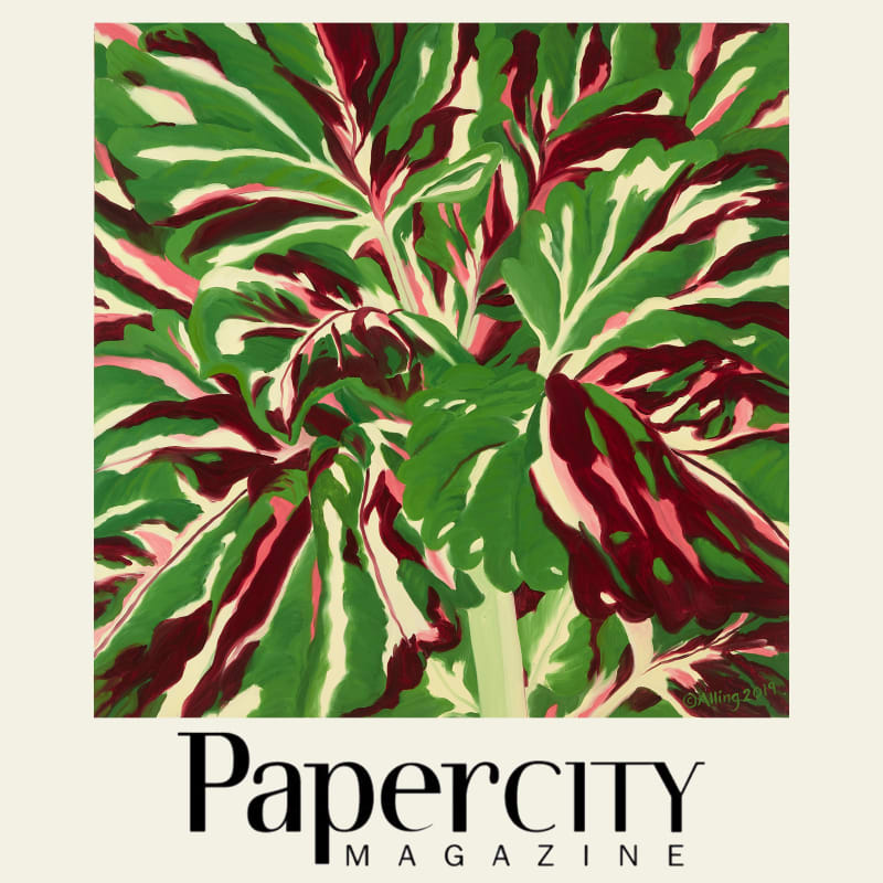 Janet Alling, "Coleus L–Push," 2019, oil on linen, 40 x 40 in